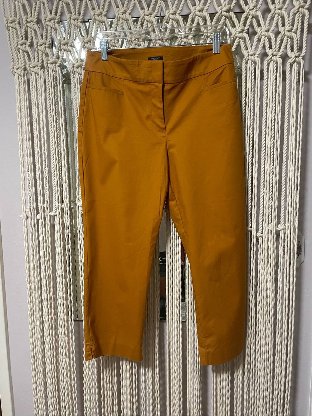 Ann Taylor 8P